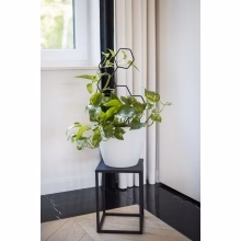 Topfblumenständer - HONEYCOMB Modell:551