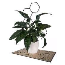 Topfblumenständer - HONEYCOMB Modell:551