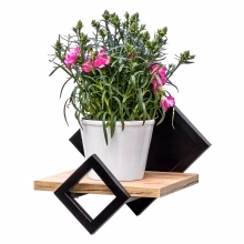 Universal-Hängeregal. Wandflorist Modell:575