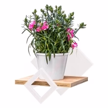 Universal-Hängeregal. Wandflorist Modell:575