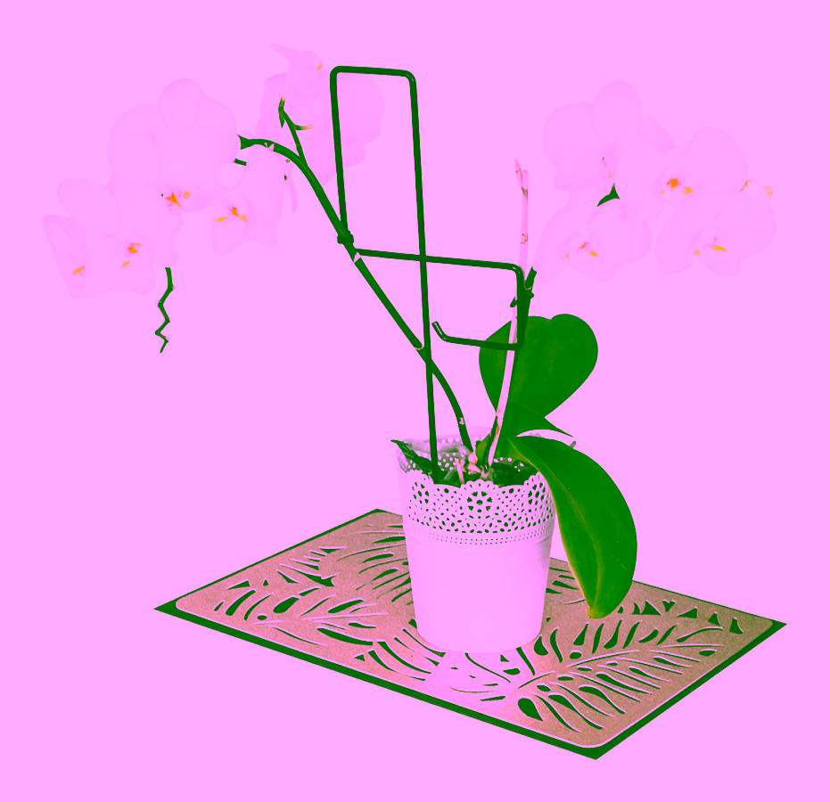 Unterstützung für Blumen und Sträucher - TIE