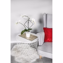 Unterstützung von Blumen Modell:554