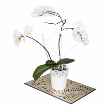 Unterstützung von Blumen Modell:554