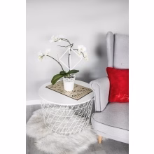 Unterstützung von Blumen Modell:554