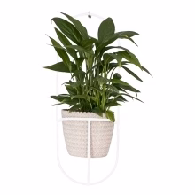 Wandblumenhalter aus Metall Modell:560