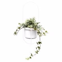 Wandblumenhalter aus Metall Modell:560