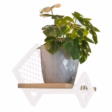 Wandflorist, Regal mit Modell:574